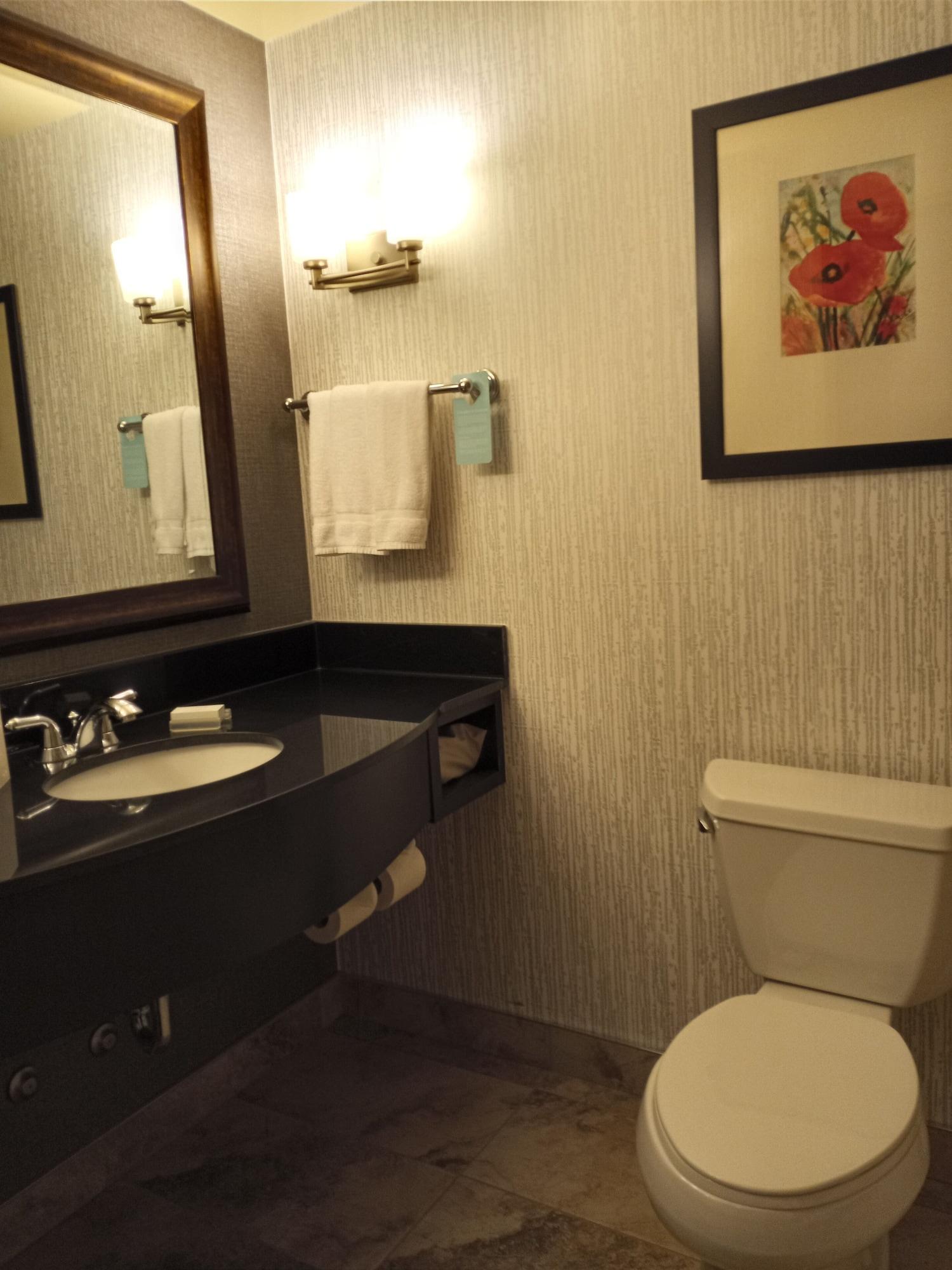 Hilton Garden Inn Calgary Airport Εξωτερικό φωτογραφία